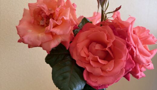 花を一輪飾ることから始める、自分を大切にする暮らし