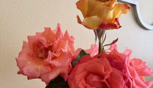 花を一輪飾ることから始める、自分を大切にする暮らし